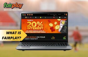Features of Fairplay betting site